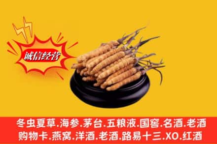 大连沙河口区求购回收虫草多少钱每克